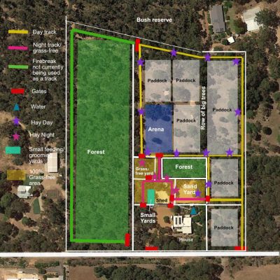 Property Map